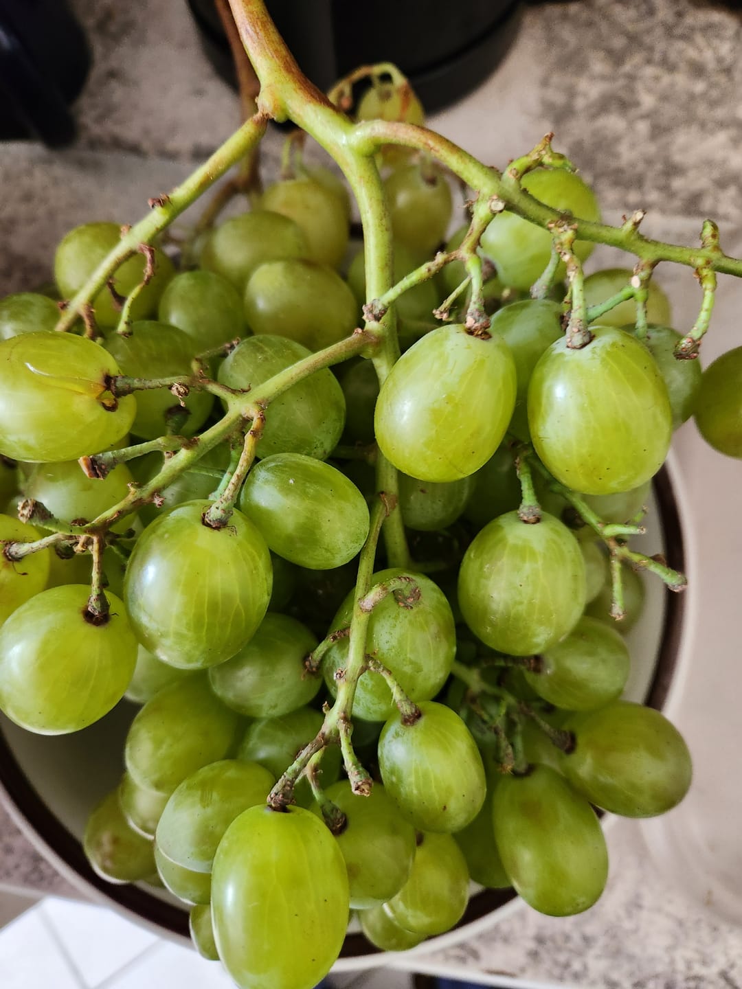 Customer photo review of Trauben Mix mit Kern Bio von Elisa aus Sizilien