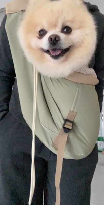 Customer photo review of Ergonomic Portable Hands-Free Pet Sling Carrier
