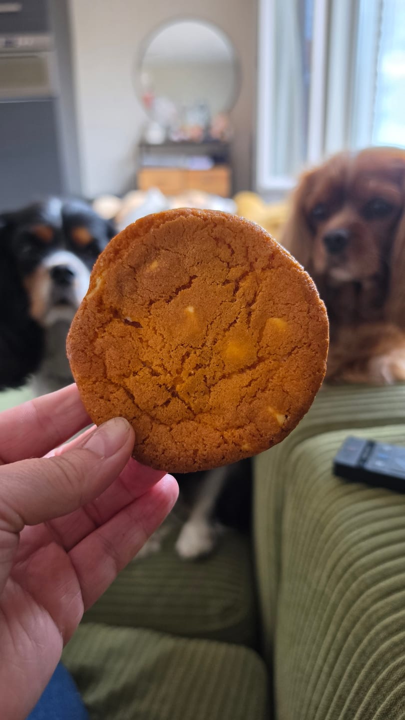 Customer photo review of Mango White Choco Cookies