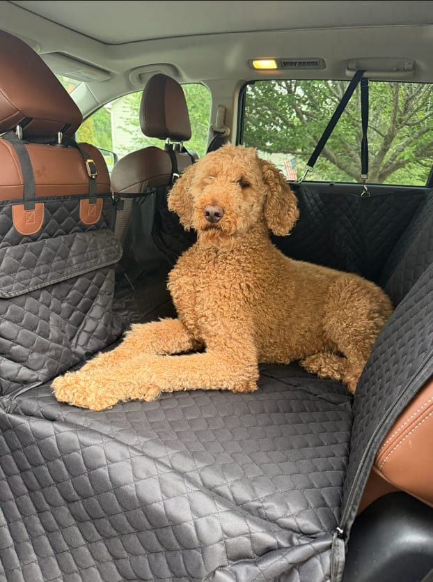 Customer photo review of CozyRider™ 3.0 XL