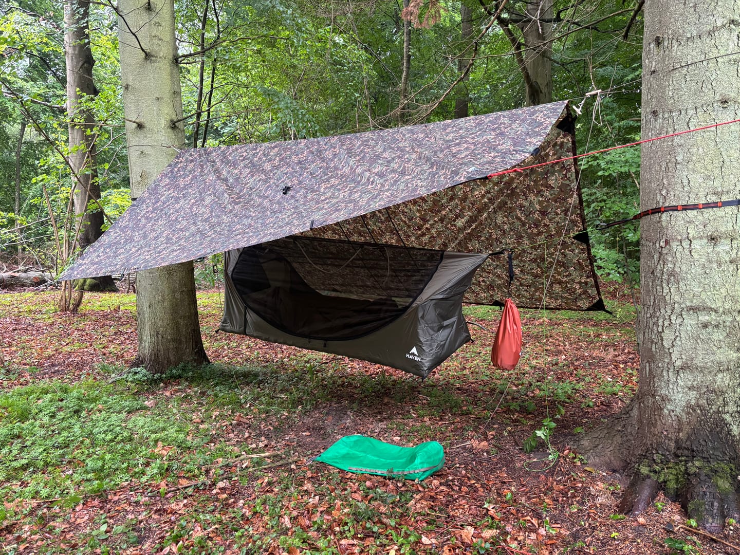 Customer photo review of Haven XL