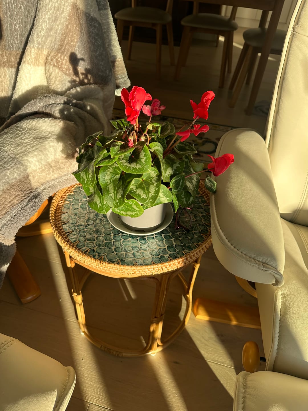 Customer photo review of Sirena Rattan Table Set