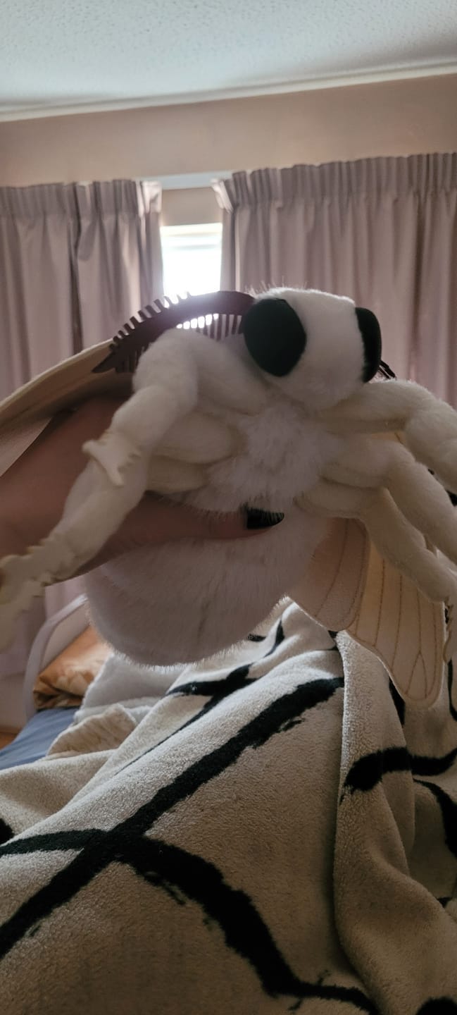 Customer photo review of Silkworm Moth Soft Stuffed Plush Toy