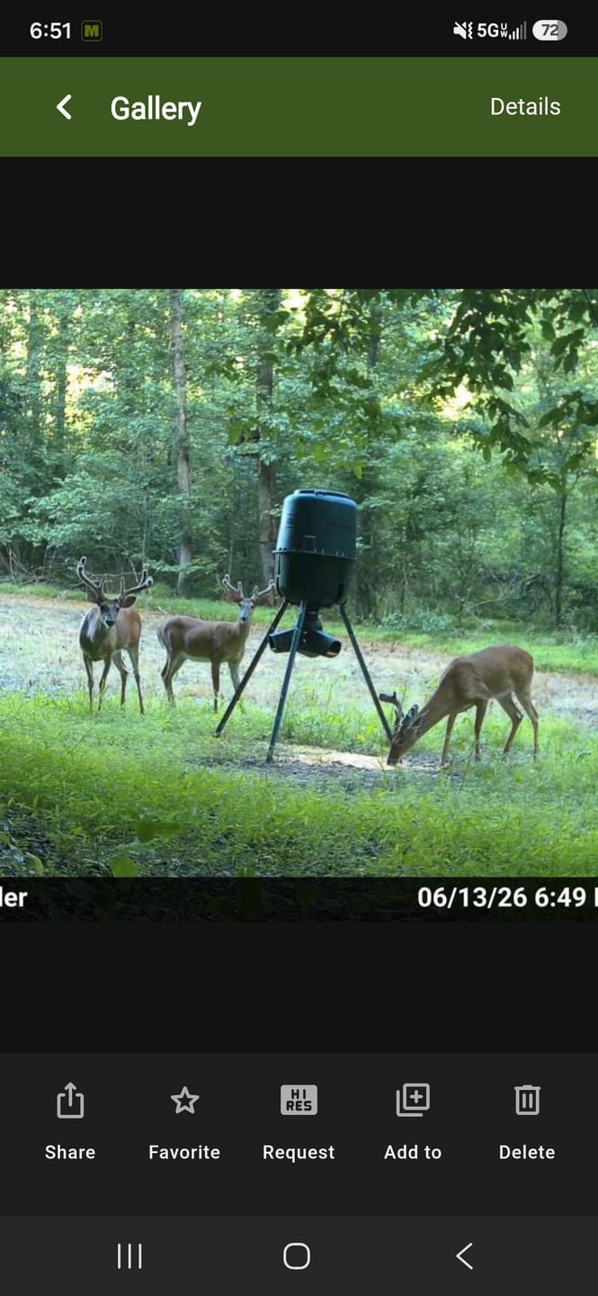 Customer photo review of Antler IV Mineral Attractant