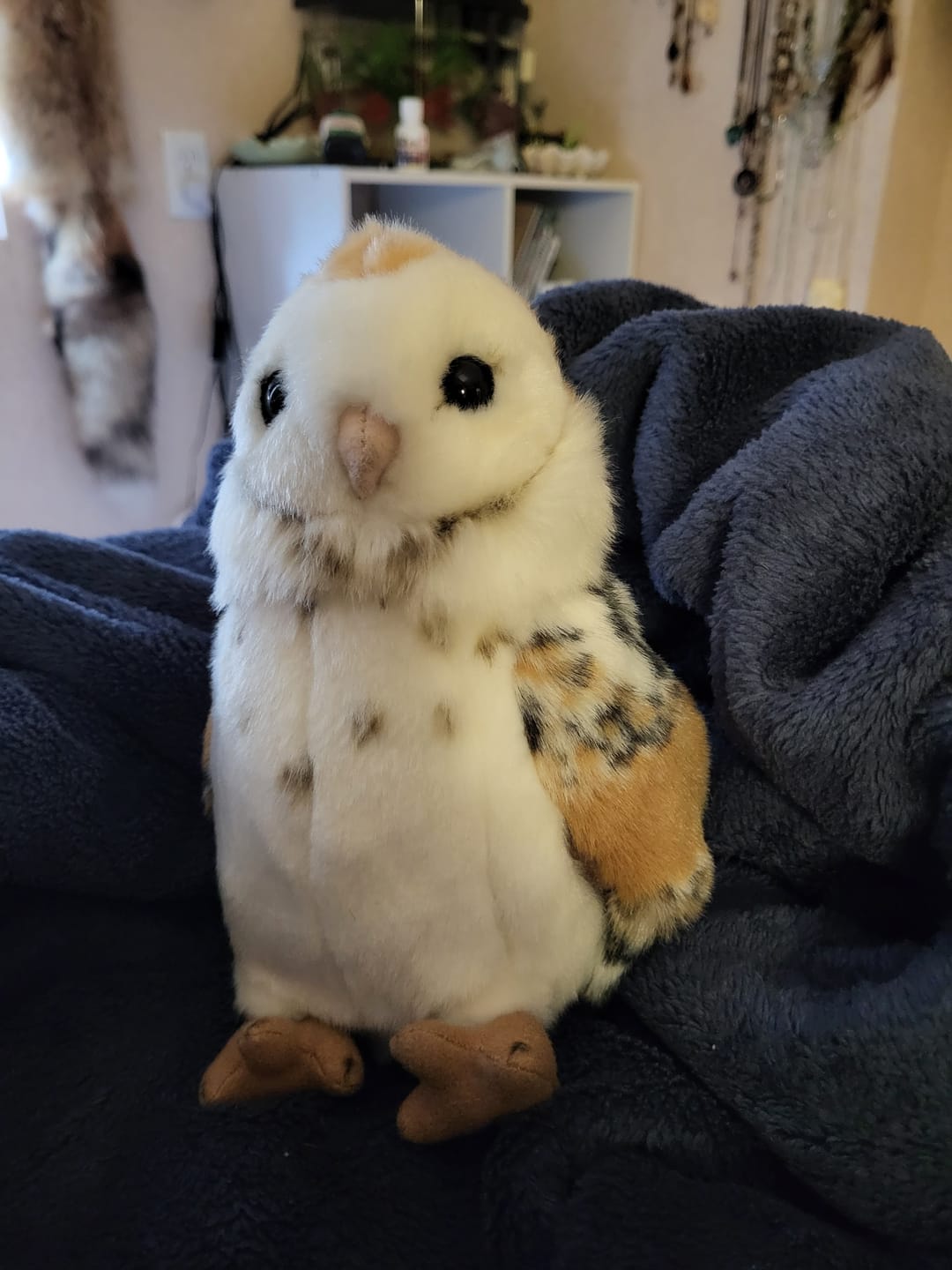 Customer photo review of Barn Owl Plush Toy with Rotatable Head – Realistic and Soft Stuffed Animal for Bird Lovers