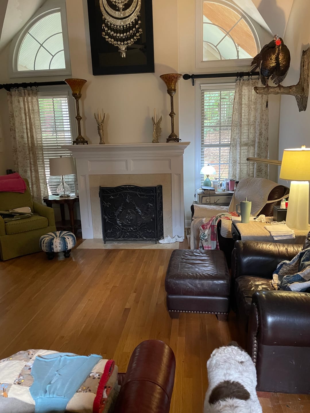 Customer photo review of Amelie Floral Linen Blend Curtains