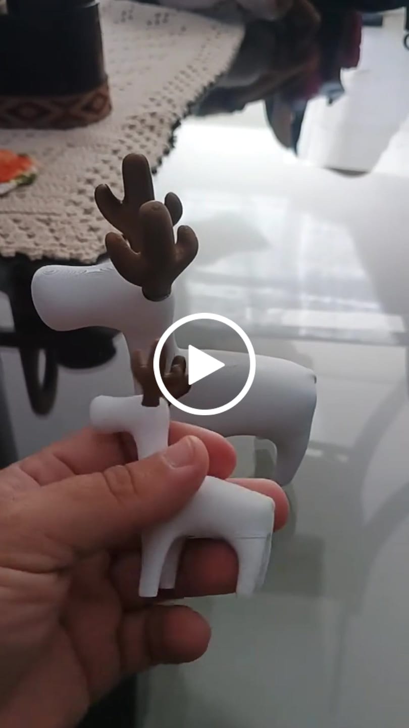 Customer video review of Enfeite de Natal Kit de 2 Renas Minimalistas