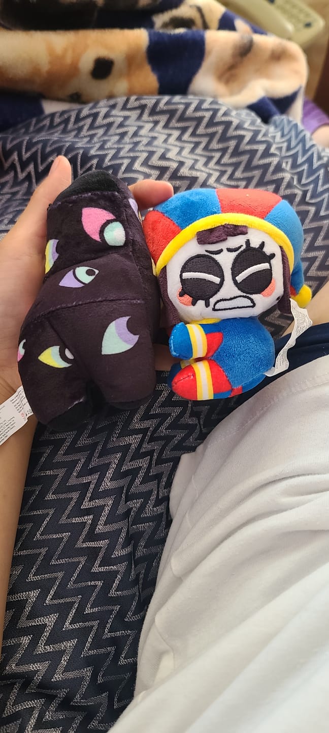 Customer photo review of Pomni & Abstraction Magnetic Plush Keychains