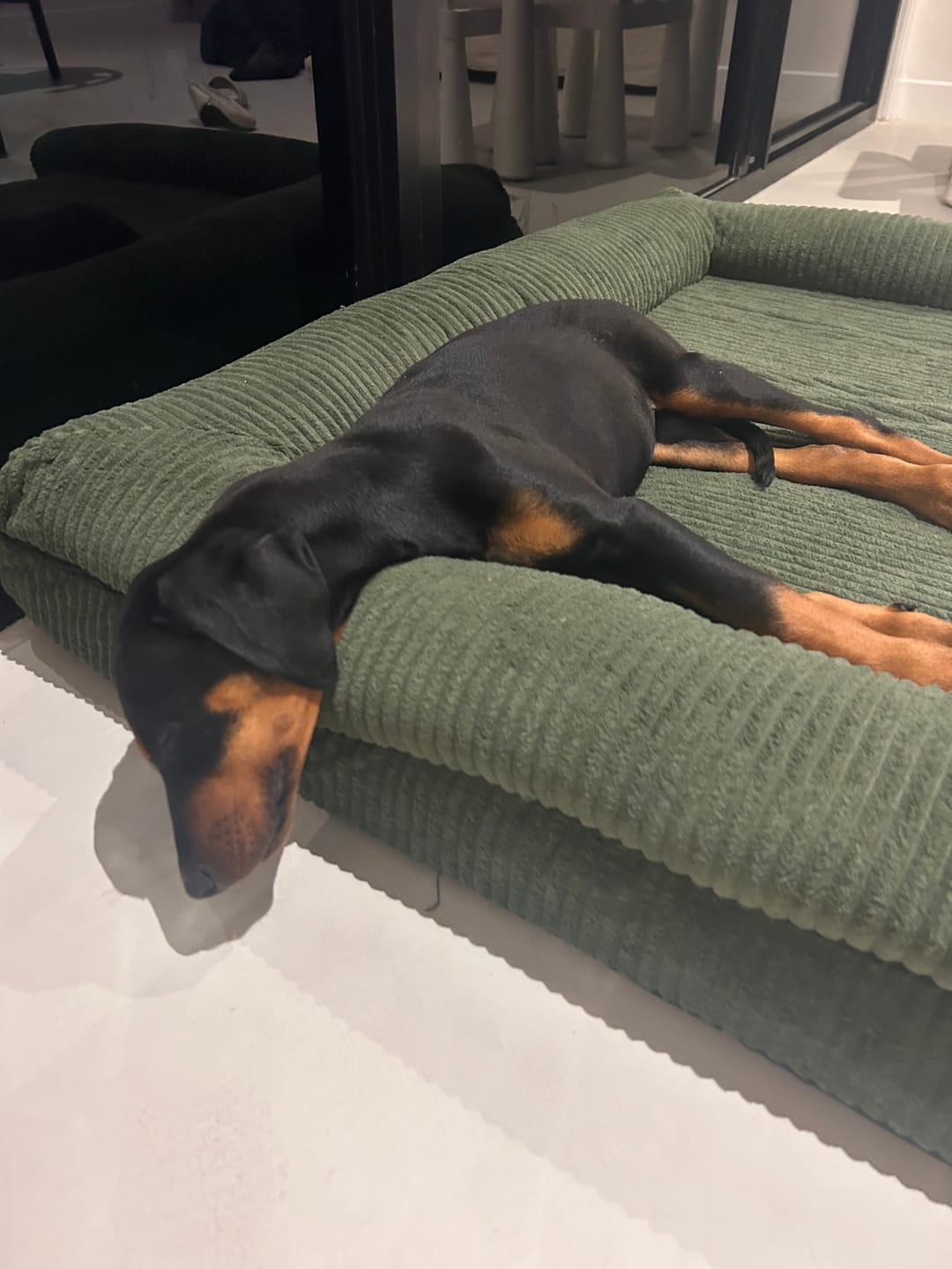 Customer photo review of Pet Bed Non Slip Dog Mat Orthopedic Sofa  Cushion Washable Removable