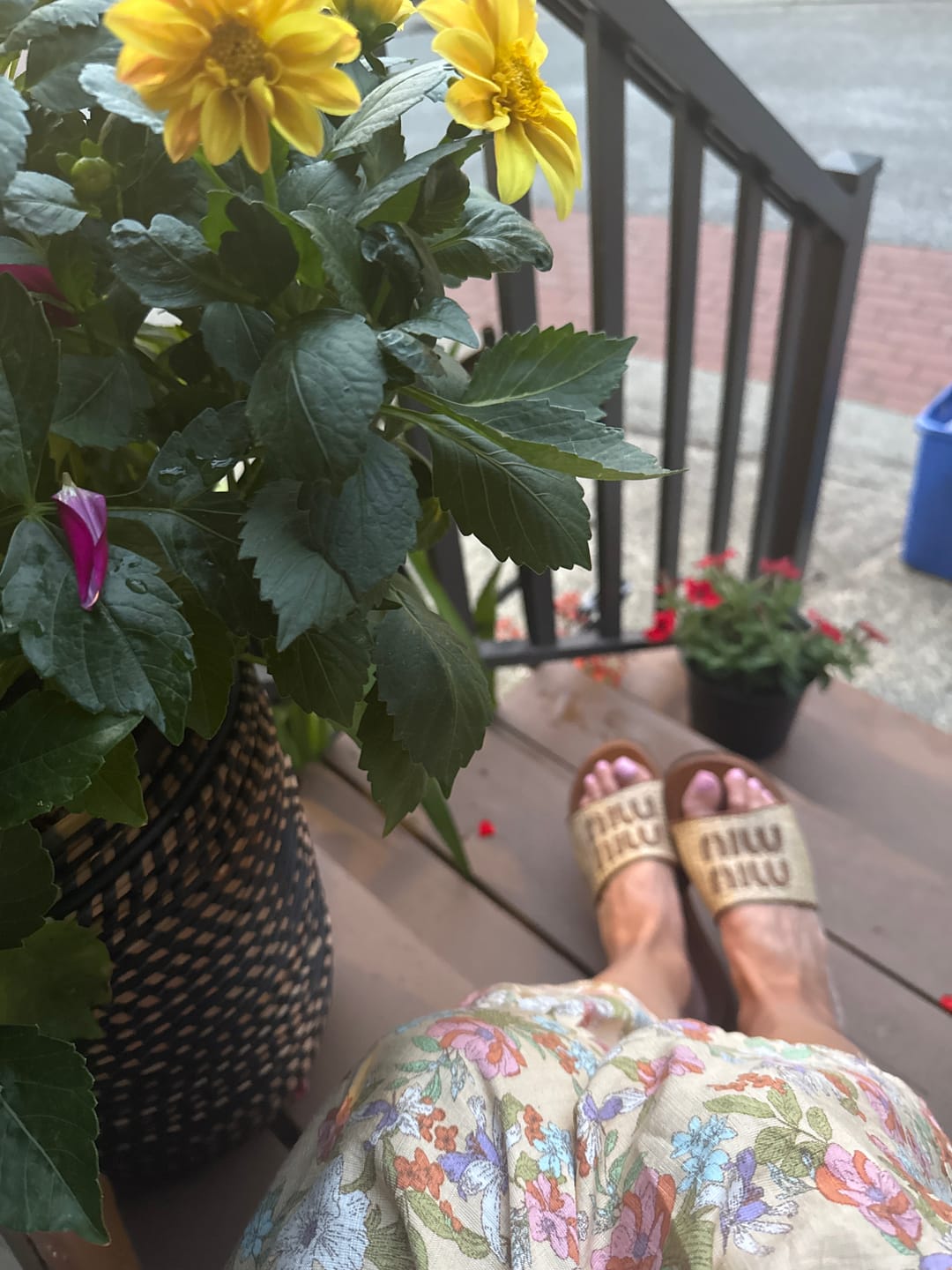 Customer photo review of MINU SLIDES