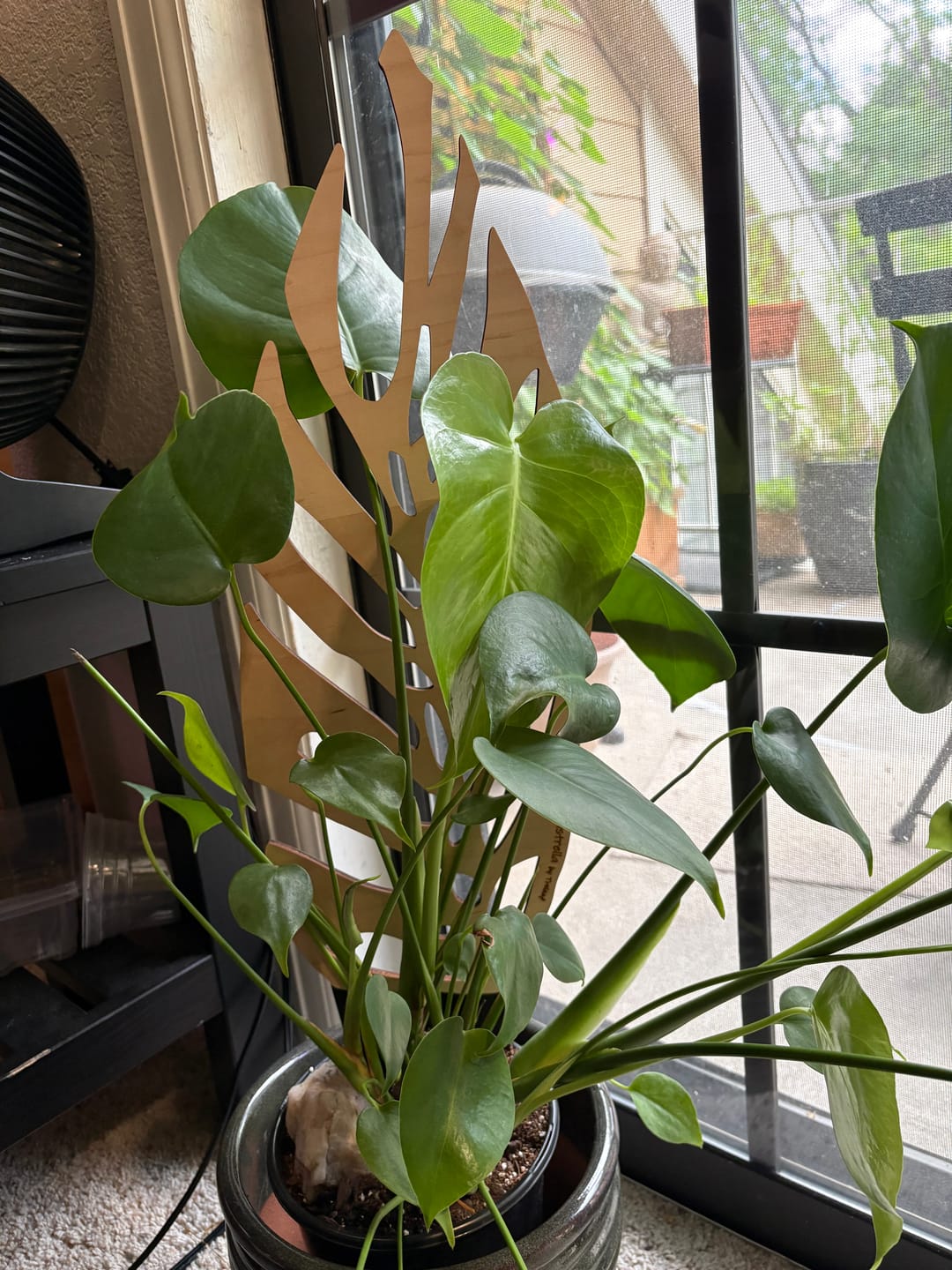 Customer photo review of BARE™ Monstrella™ - Customizable Monstera shaped wooden plant support