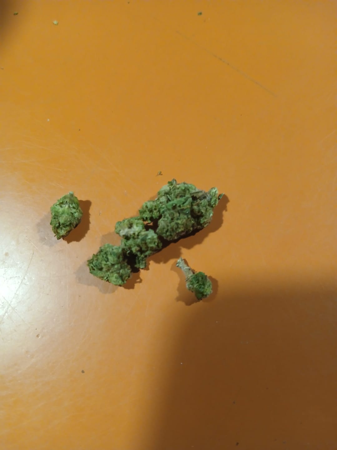 Customer photo review of Blueberry Syrup - Minis - 28 Grams - Indica