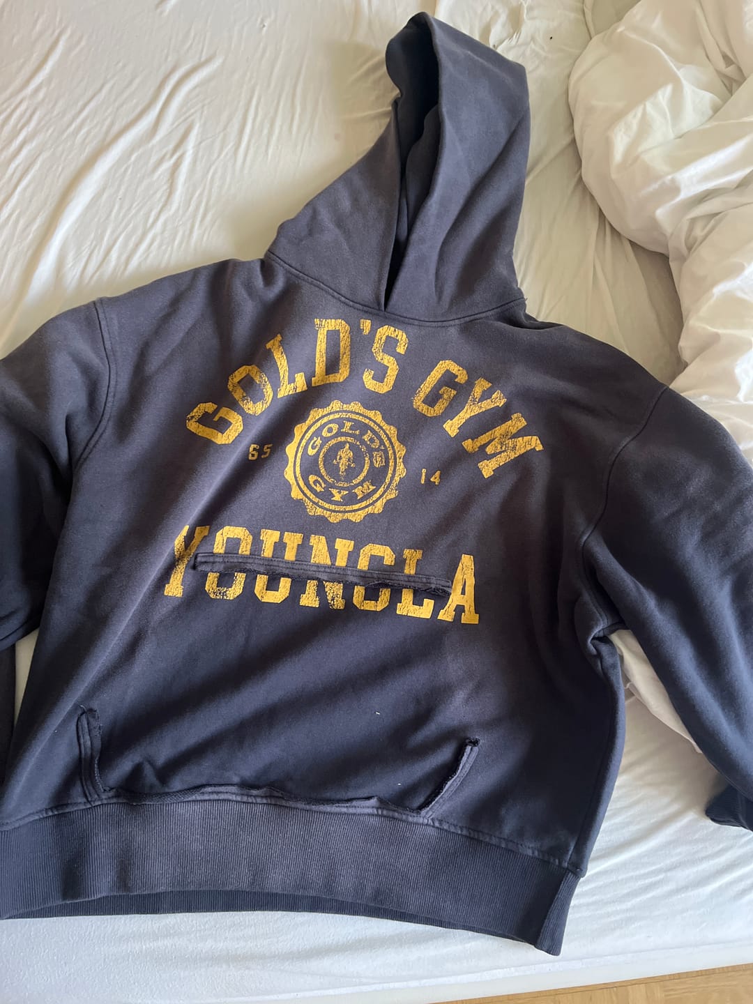 Customer photo review of 5167 - Gold's Iron Legacy Crest Hoodies