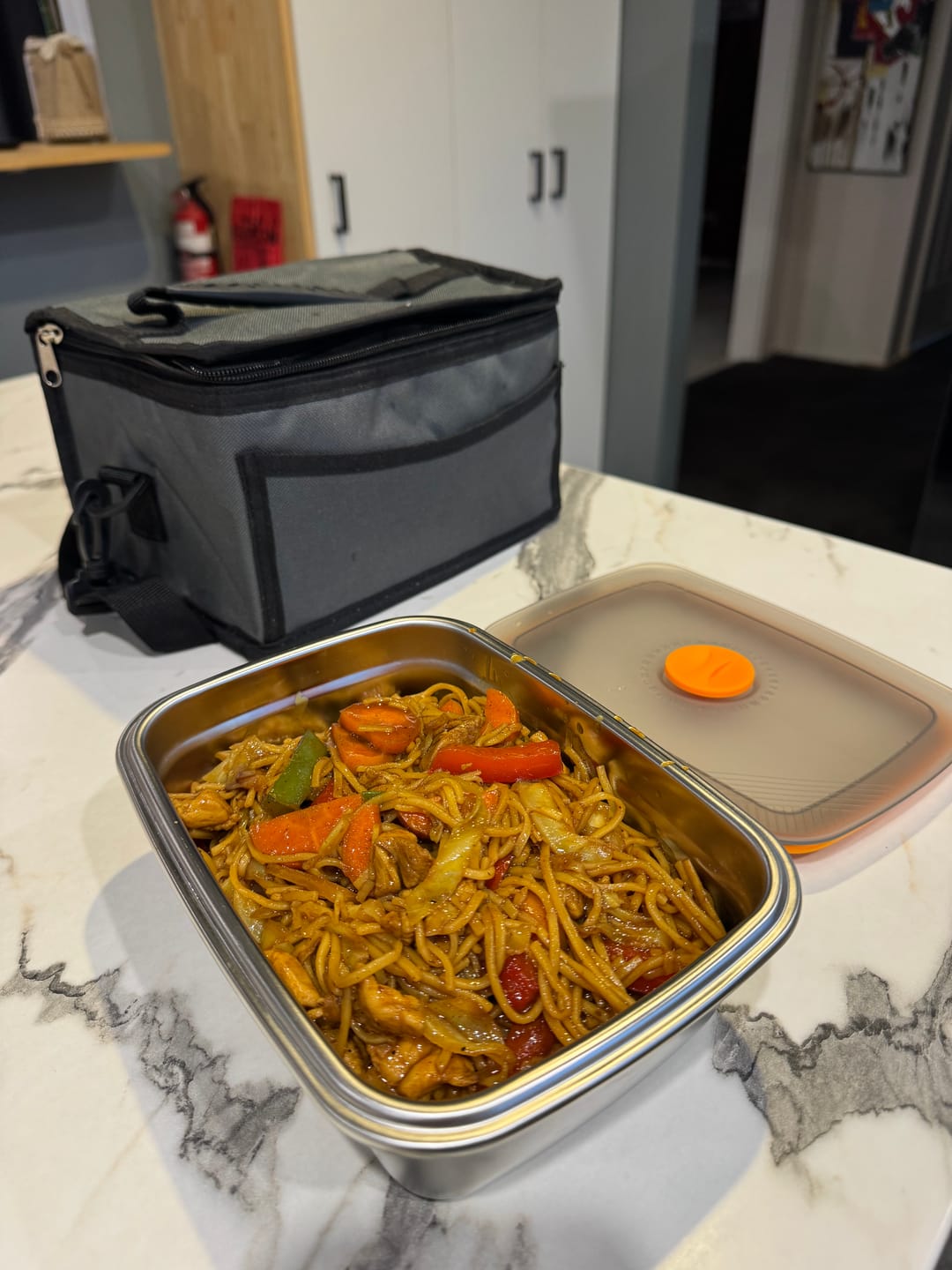 Customer photo review of Explorer Heating Lunchbox™ - Portable And Convenient