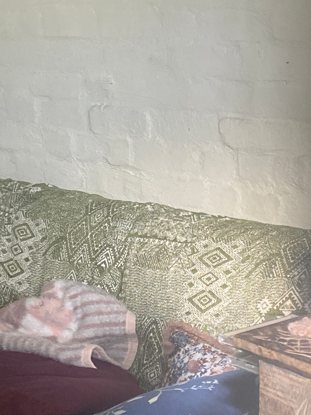 Customer photo review of Pet Couch Covers