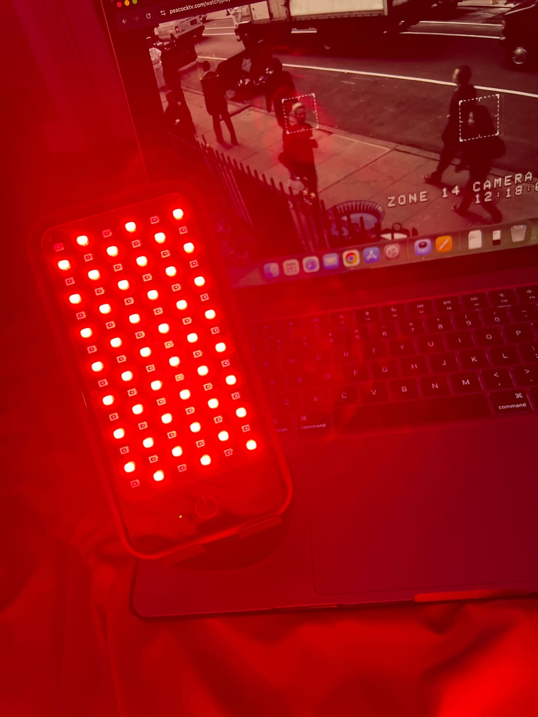 Customer photo review of Red & Infrared Light Panel