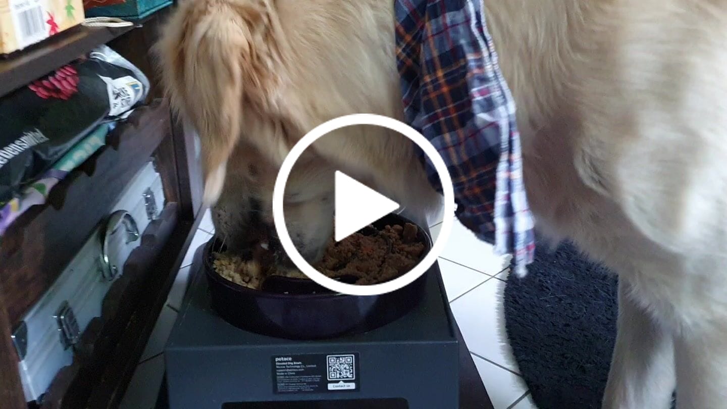 Customer video review of Frischfutter für Energiebedarf von 1201 kCal/Tag
