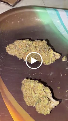 Customer video review of Montgomery Benz THCA Flower