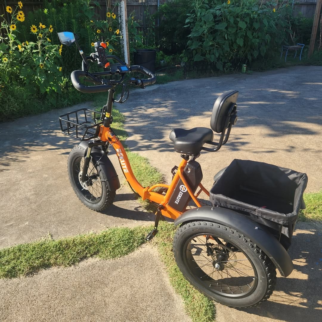 Customer photo review of Eskute T302 Pro Cargo E-Bike