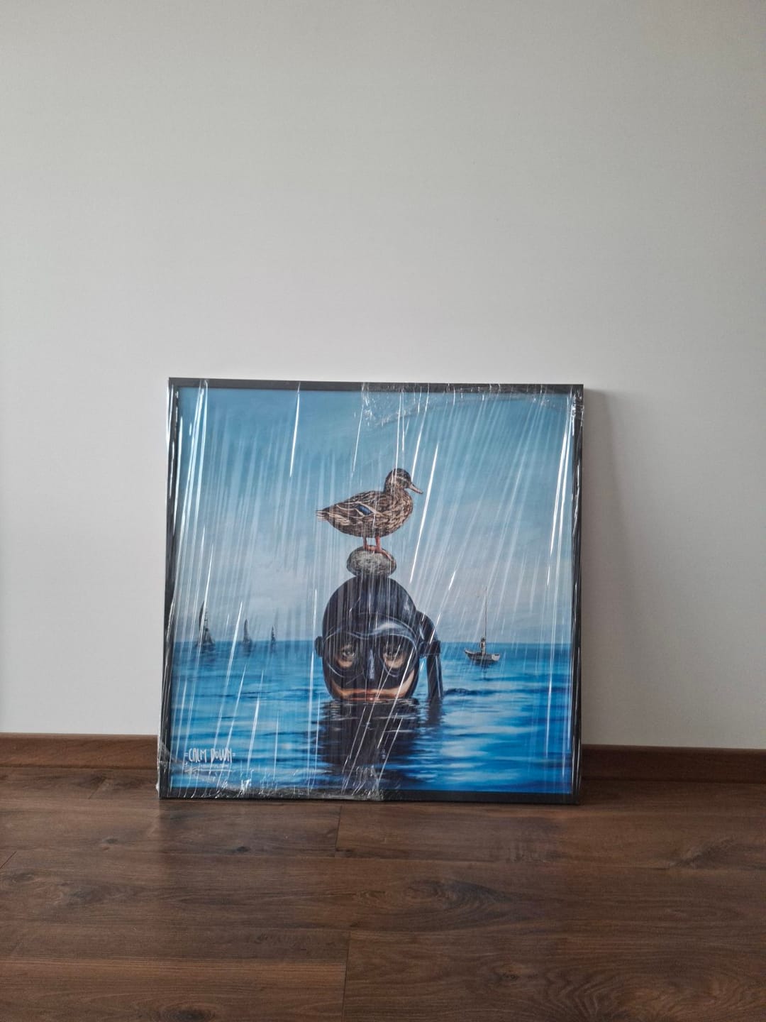 Customer photo review of Paveikslas "Calm Down"