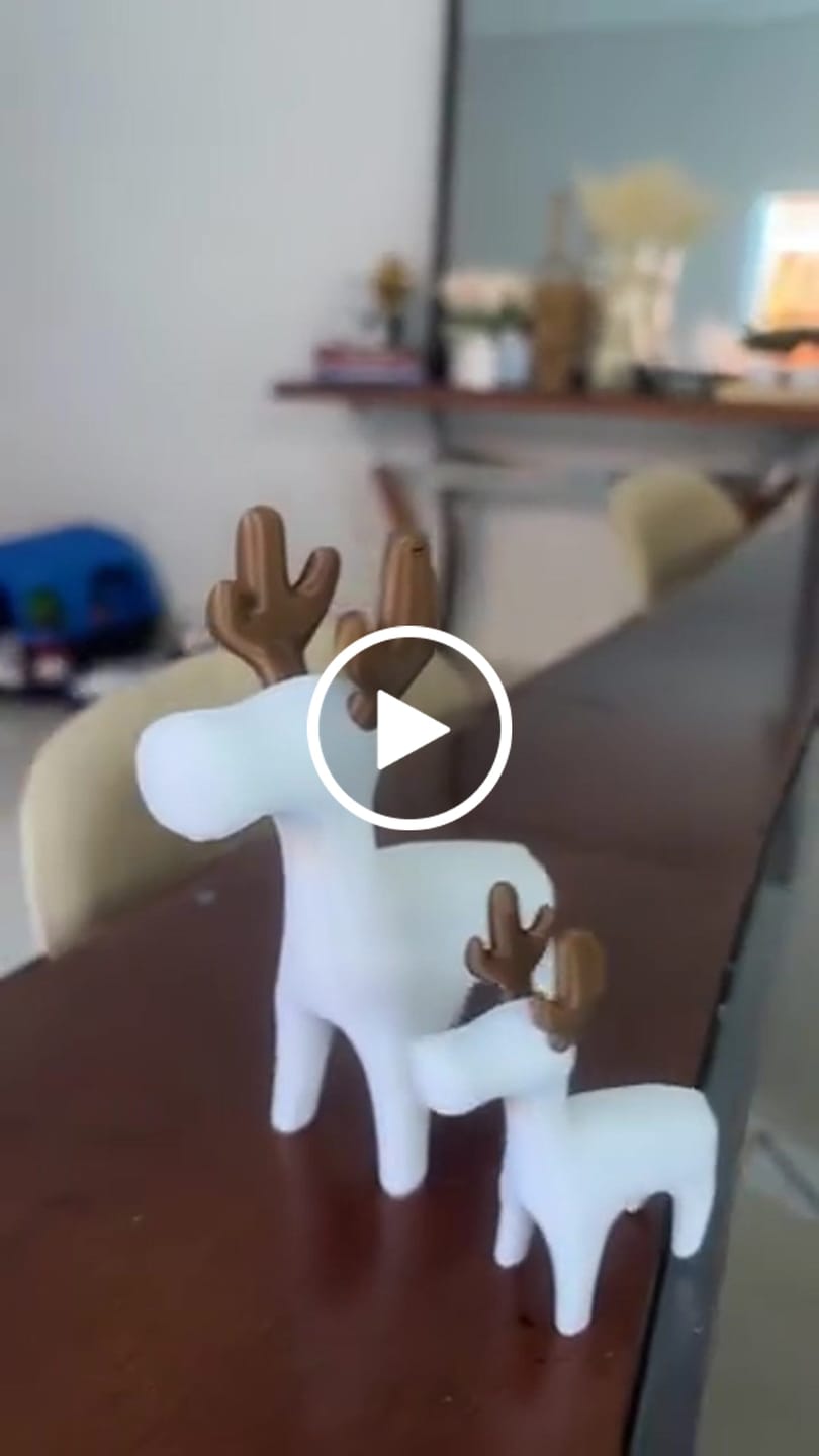 Customer video review of Enfeite de Natal Kit de 2 Renas Minimalistas