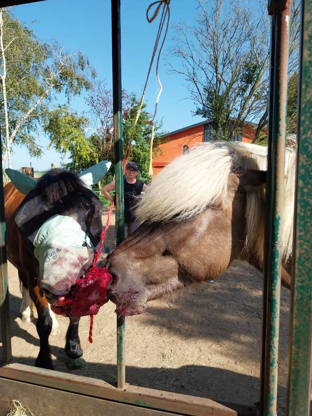 Customer photo review of Einhornstaub