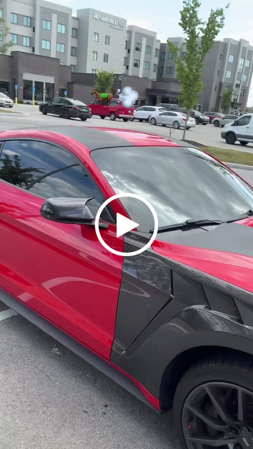 Customer video review of For Ford Shelby Mustang 2015-2021 Matte Black Sunshade Rear Window Louver