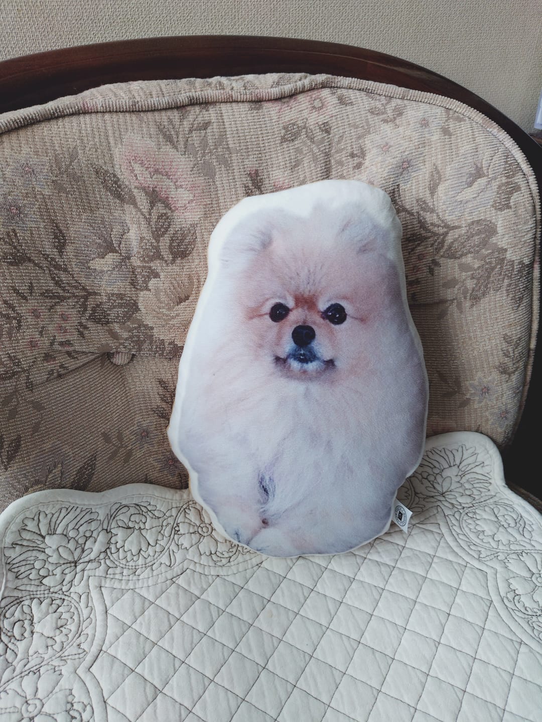 Customer photo review of 世界にひとつだけ♪好きな写真で作るオーダーメイドクッション（20～80cm）