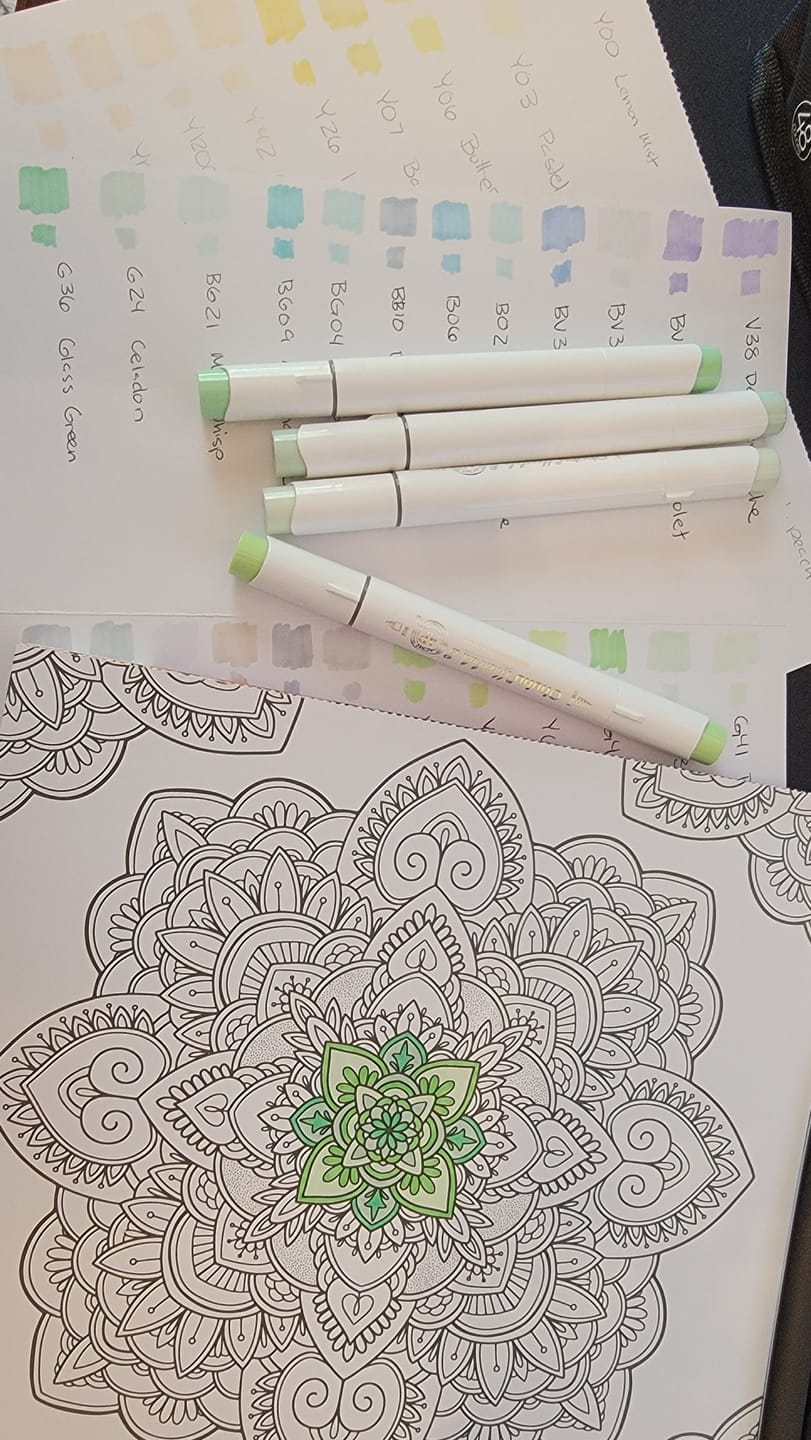 Customer photo review of Ohuhu Honolulu New 48 Pastel Colors Dual Tips Alcohol Art Markers - Blossoming (New Color Codes)