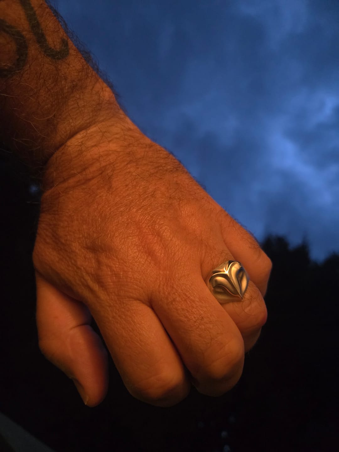 Customer photo review of Barn Owl Ring