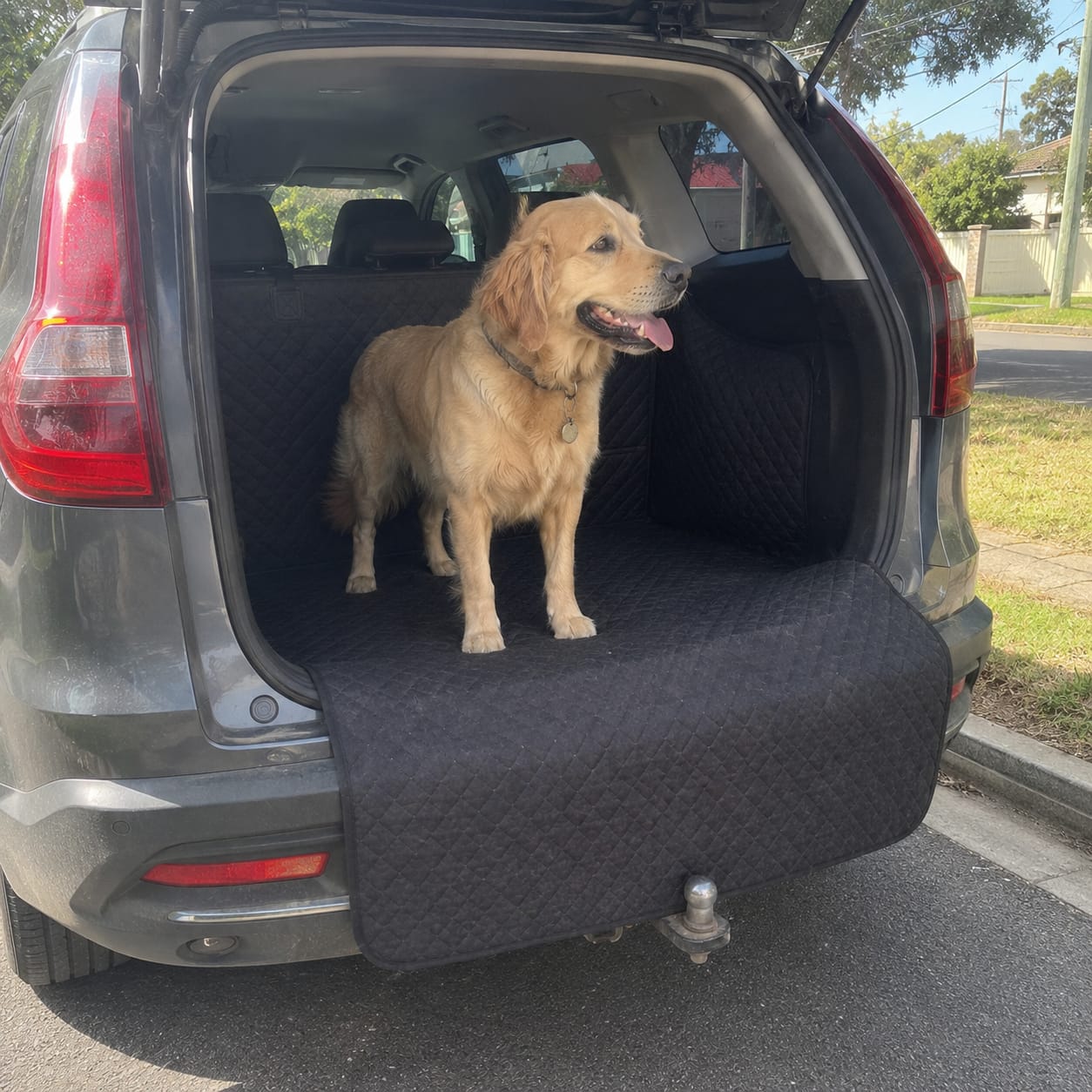 Customer photo review of MrBarks Boot Seat Cover - 60% OFF