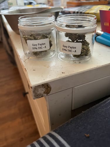 Reviewer's two clear jars of THC-A flower buds on a white countertop.
