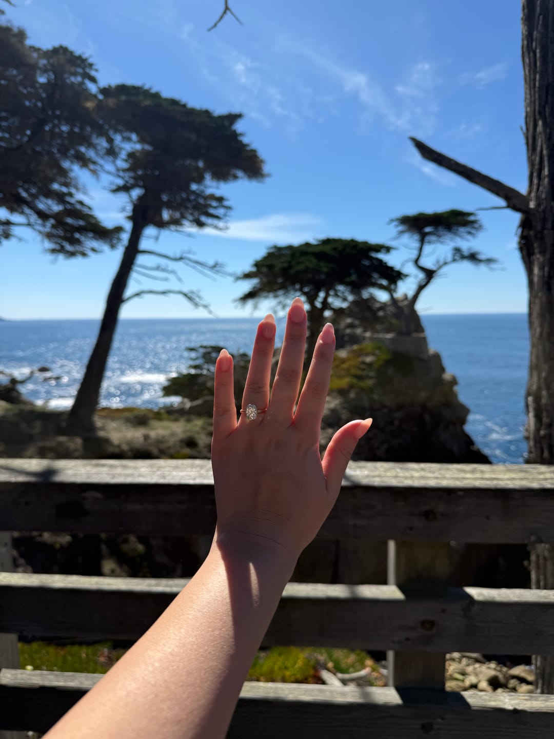 Customer photo review of Custom Engagement Ring Diamond Daughters