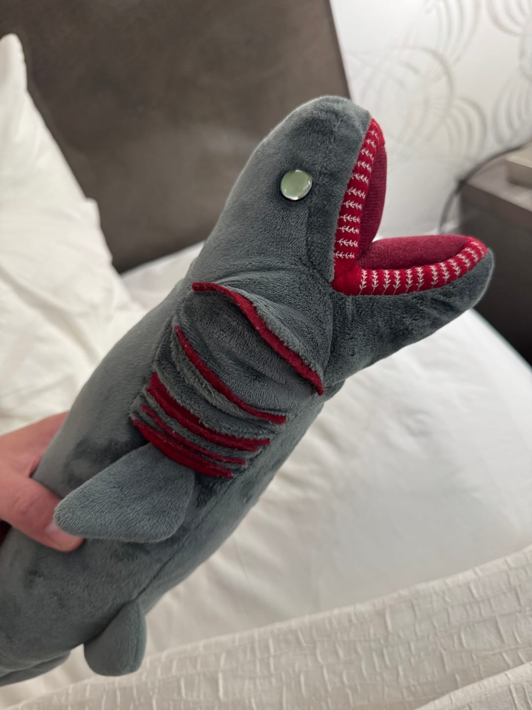 Customer photo review of Frilled Shark Soft Stuffed Plush Toy