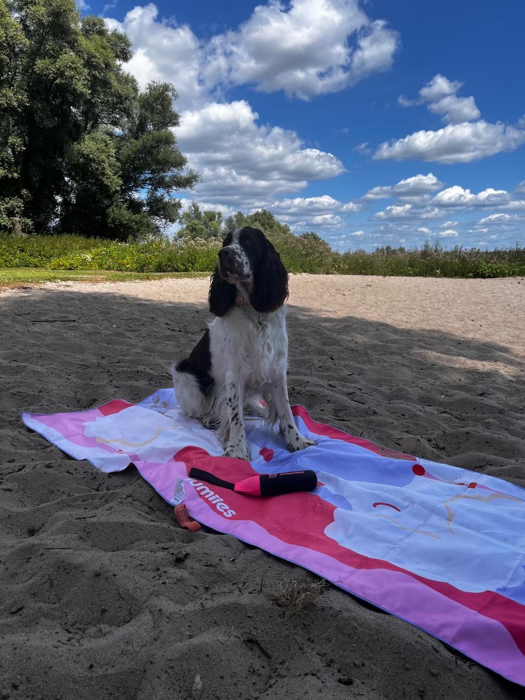 Customer photo review of Schnelltrocknendes Mikrofaser-Handtuch (160×80 cm) - Pudel