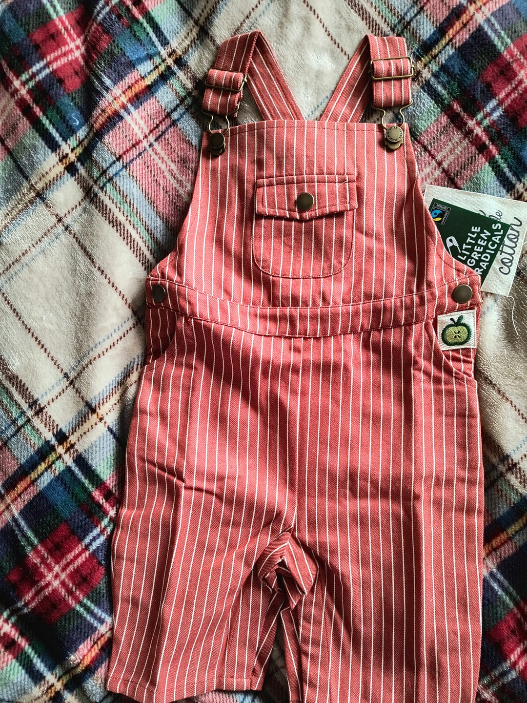 Customer photo review of Burnt Ochre Striped Dungaree Shorts