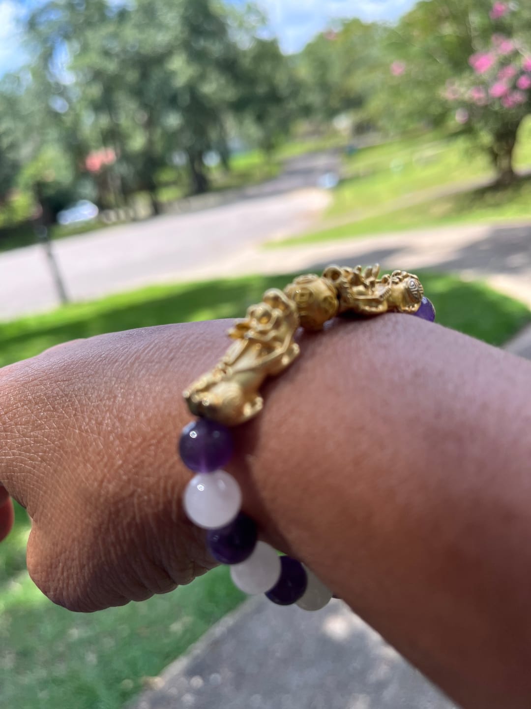 Customer photo review of Money Attracting Citrine and Black Obsidian Double Pixiu Bracelet