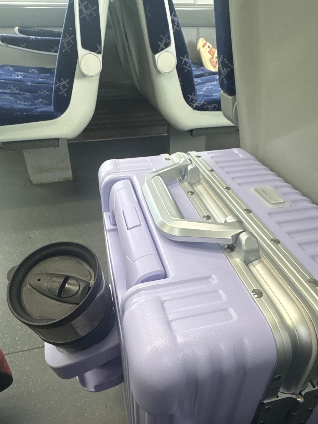 Customer photo review of Carry-On Classic 19"