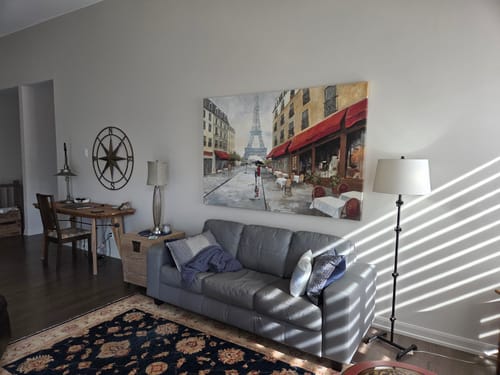 Customer photo review of Morning in Paris