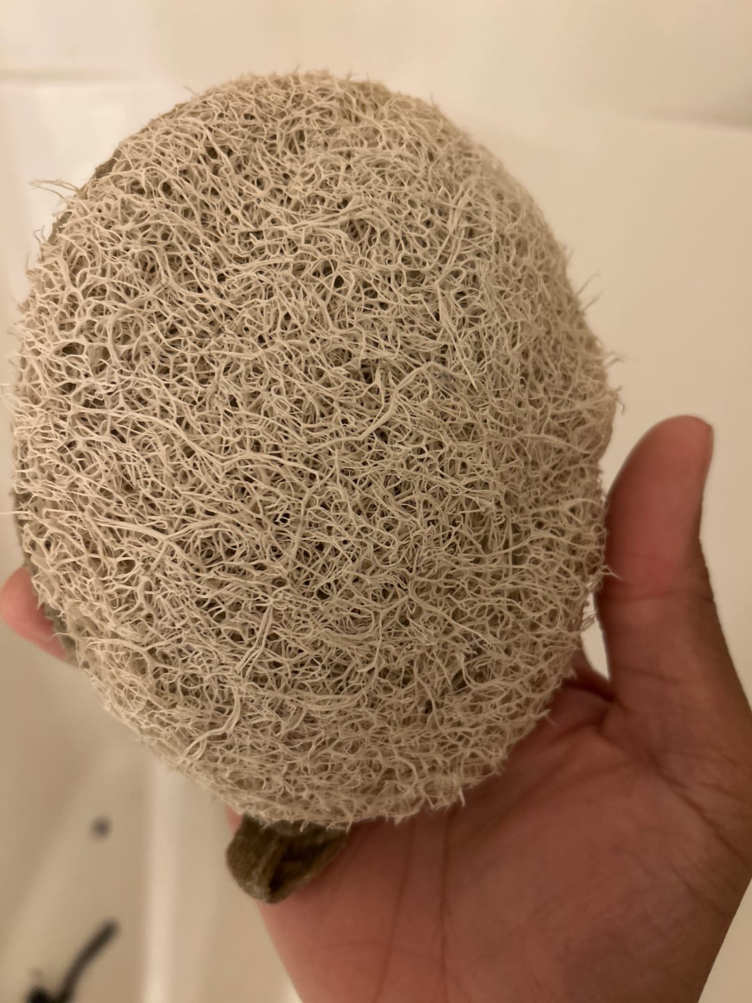 Customer photo review of Natural Egyptian Loofah Pad