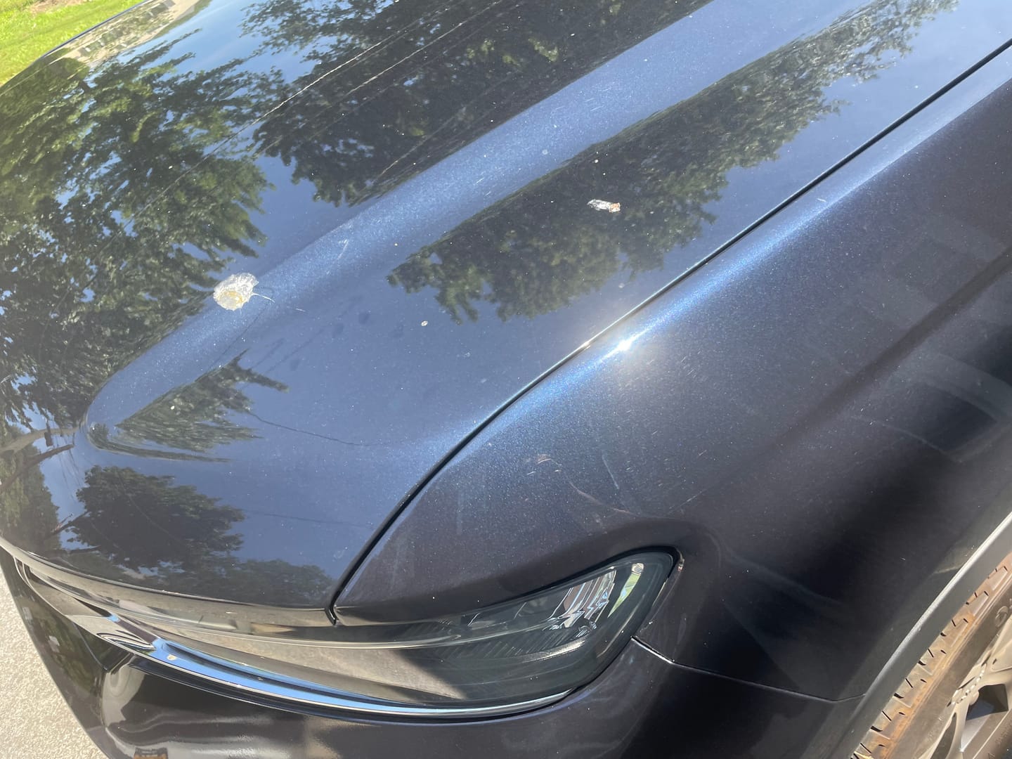 Customer photo review of RUBBIT Electric Trial Kit [Rs]