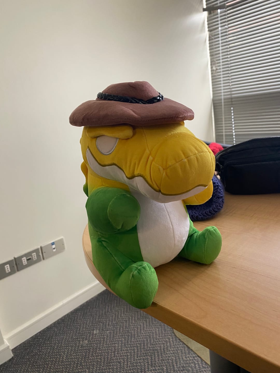 Customer photo review of Gummigoo Plush