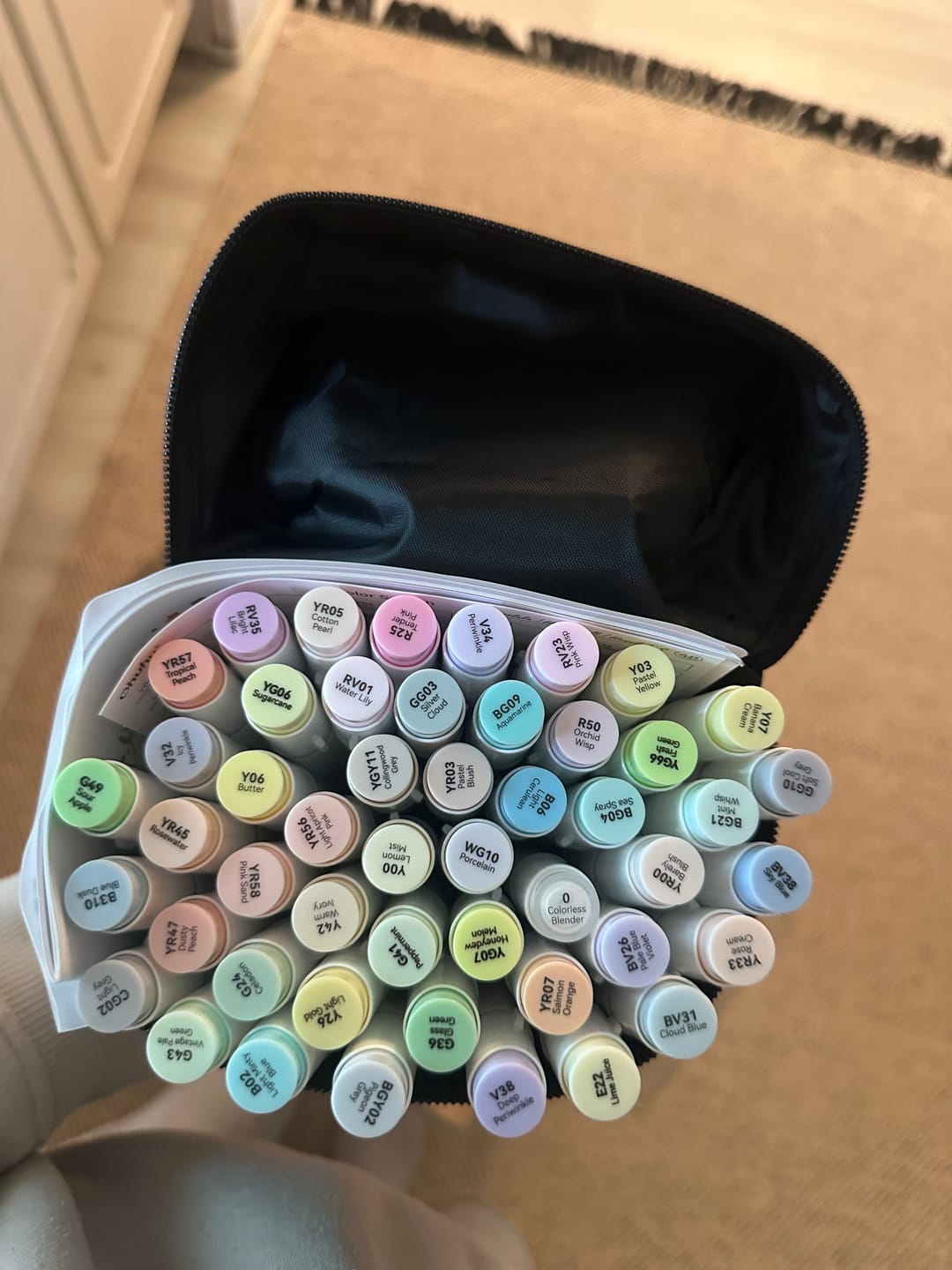 Customer photo review of Ohuhu Honolulu New 48 Pastel Colors Dual Tips Alcohol Art Markers - Blossoming (New Color Codes)