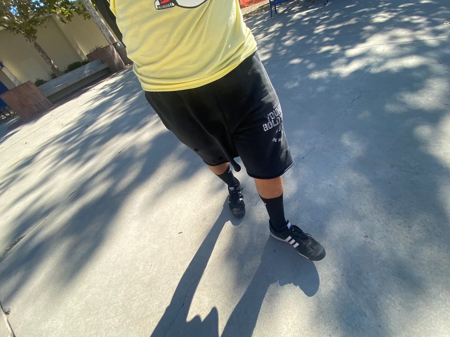 Customer photo review of 1014 - Gold's Iron Legacy Shorts