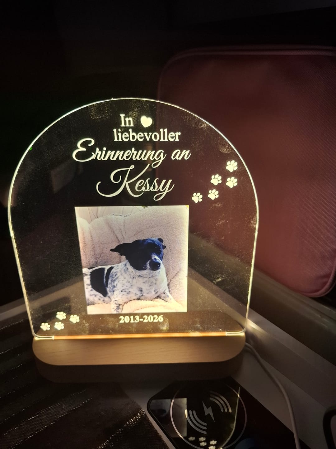 Customer photo review of Zur liebevollen Erinnerung – LED-Lampe für Hund/Katze