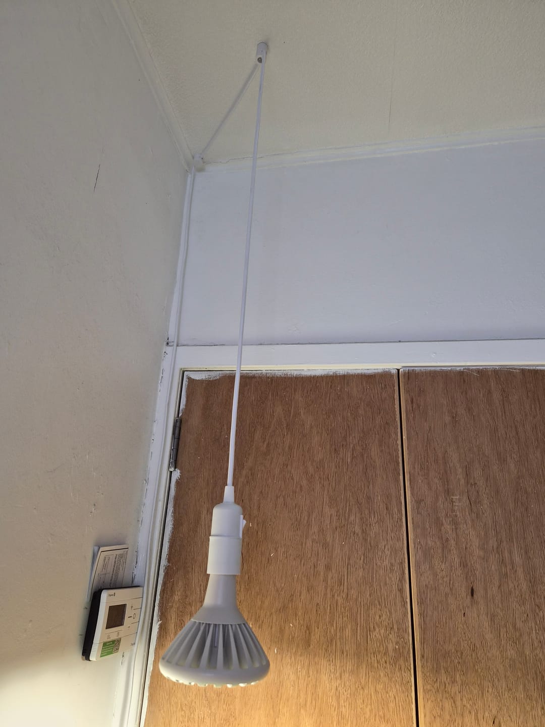 Customer photo review of Pianta 30 Grow Light and Enna Ceiling Pendant Bundle