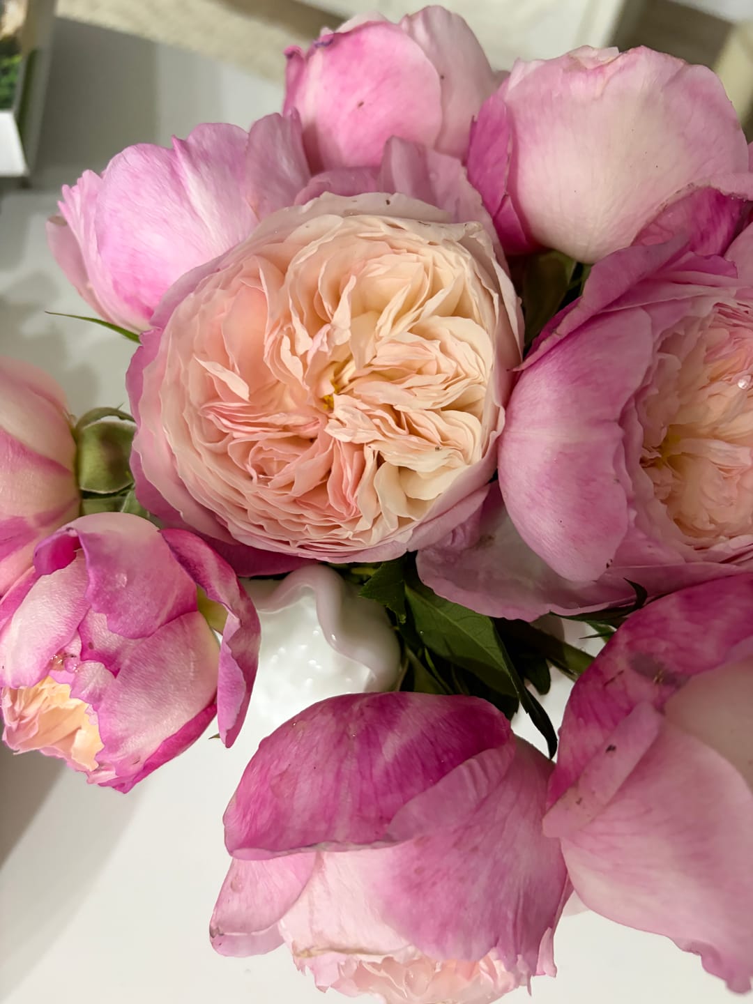 Customer photo review of Constance™ David Austin® Rose Bouquet