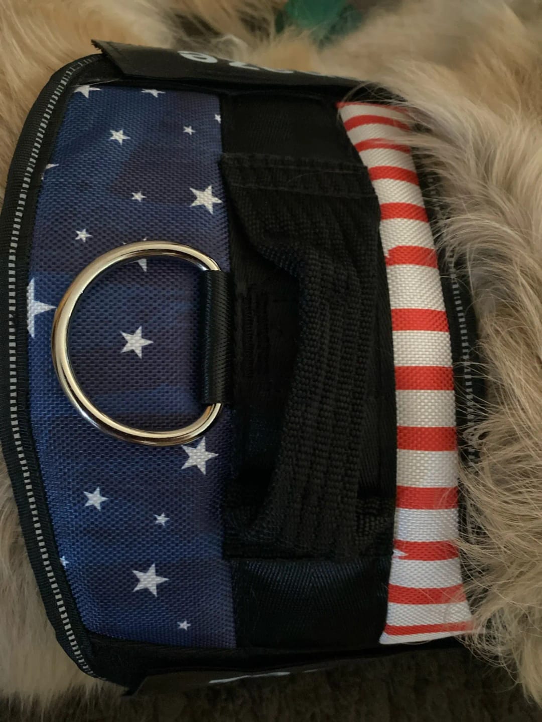 Customer photo review of Pettorina Regolabile Cane Sicura