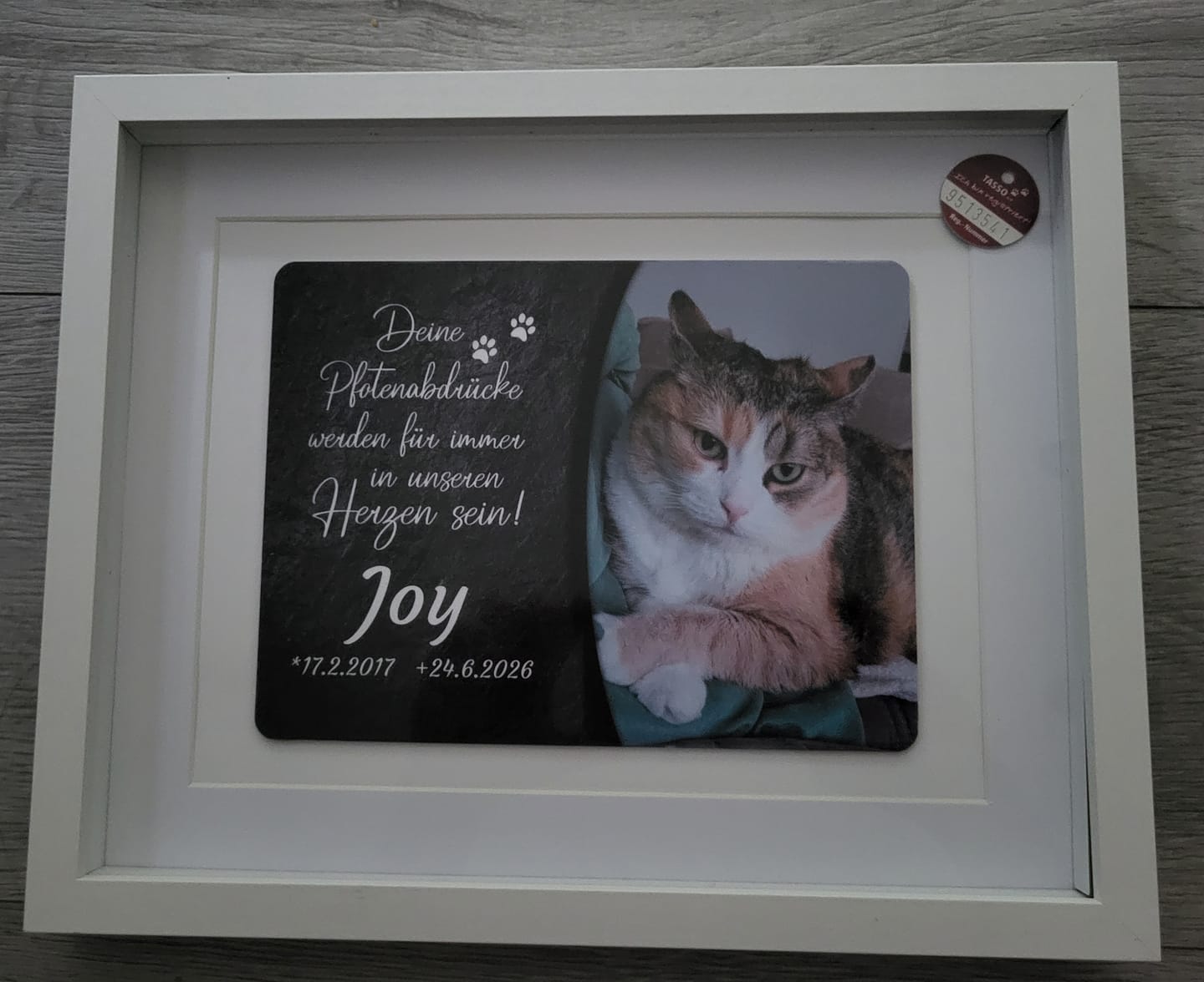 Customer photo review of Katzen Gedenktafel mit Foto & Spruch (UV- & Wetterfest)