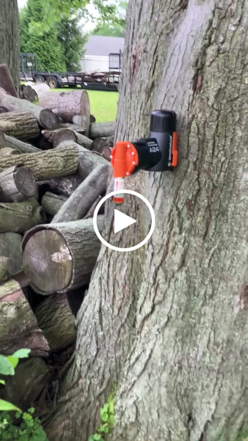 Customer video review of A24 Starter Trapping Kit